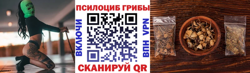 OMG tor  Облучье  Псилоцибиновые грибы ЛСД 